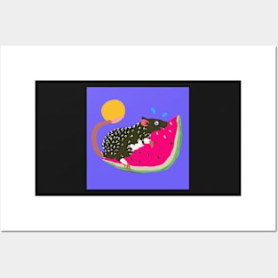 Summertime Rat on a Watermelon Slice! Posters and Art